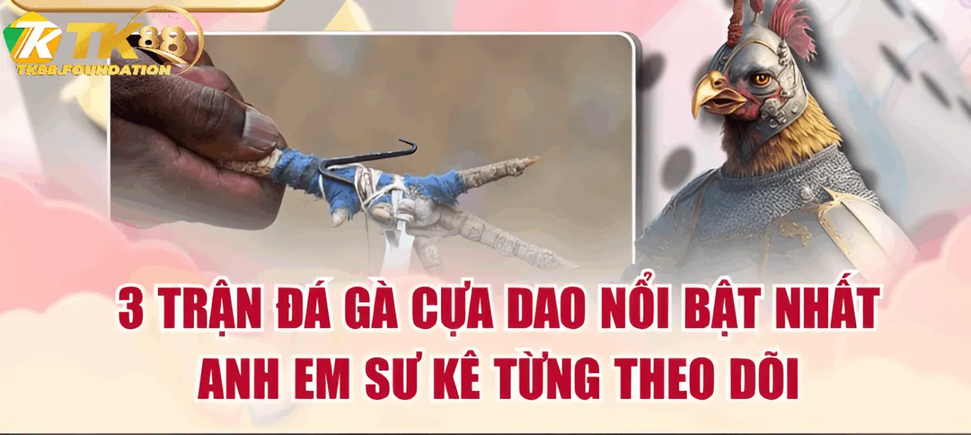 Tại Sao Đá Gà Cựa Dao Tk88 Luôn Hút Giới Bet Thủ?